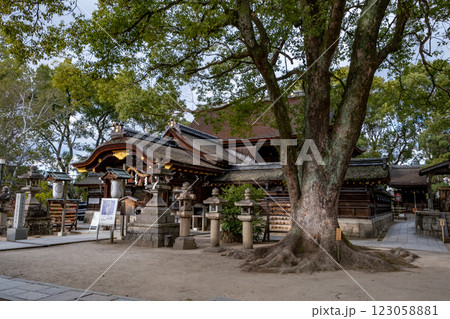 藤森神社　本殿　京都府京都市伏見区 123058881