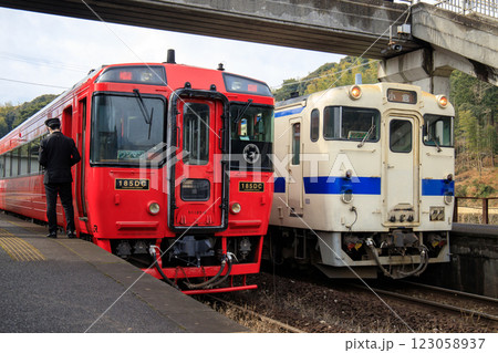 志井駅で行き違いを行うキハ185系とキハ147形（JR九州） 123058937