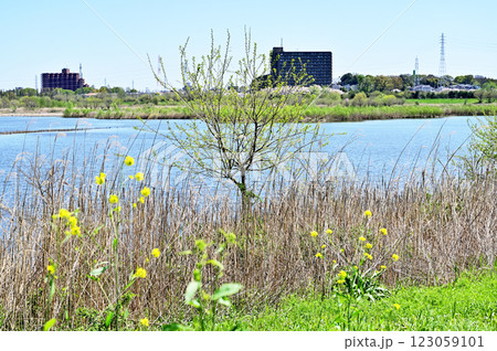 見沼田圃・芝川第一調節池　水害対策 123059101