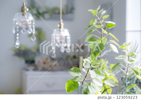 ナチュラルなインテリア雑貨 ナチュラルなインテリア雑貨 123059223