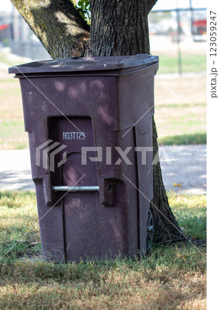 Park trash can by large tree close up 123059247