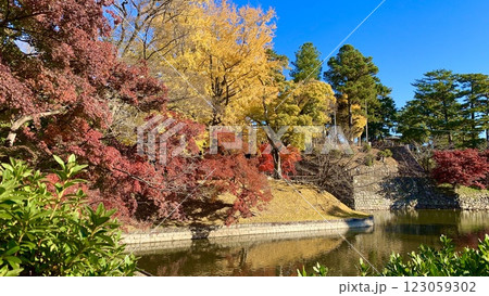 秋晴れの青空に映える龍城堀ほとりの紅葉・黄葉〈岡崎城公園/愛知県岡崎市〉 秋晴れの青空に映える龍城堀ほとりの紅葉・黄葉〈岡崎城公園/愛知県岡崎市〉 123059302