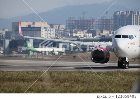 飛行機 航空機 ひこうき 123059405