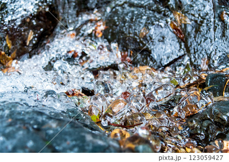 木の枝を核として固まった氷 123059427