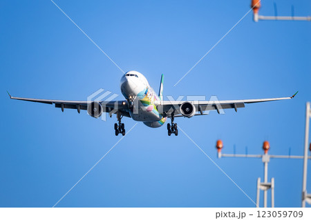 仙台国際空港に着陸する飛行機 123059709