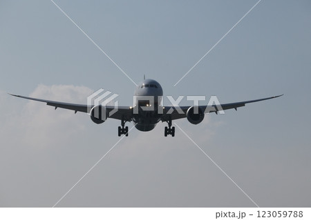 飛行機 航空機 ひこうき 123059788