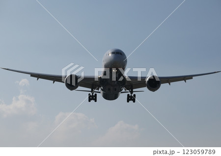 飛行機 航空機 ひこうき 123059789