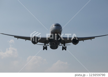 飛行機 航空機 ひこうき 123059790