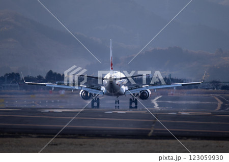 仙台国際空港に着陸する飛行機 123059930