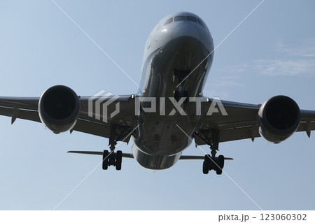 787 飛行機 航空機 123060302