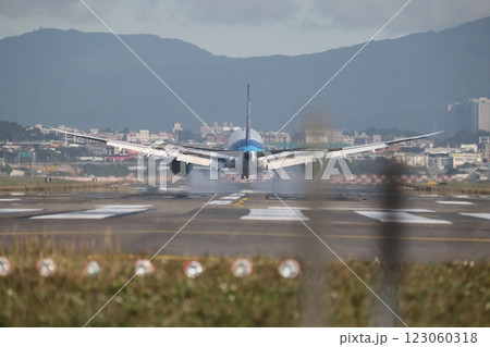 787 飛行機 航空機 123060318