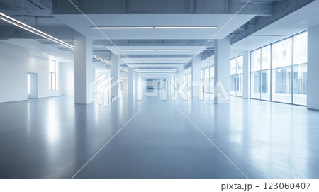 広い空白の大きな空間 広い空白の大きな空間 123060407