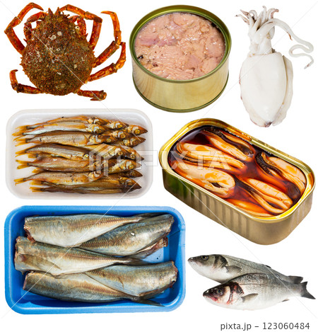 Set of assorted raw fish and seafoods Set of assorted raw fish and seafoods 123060484