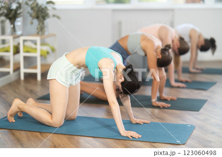 Yoga classes - group of women in the cat pose in light gym 123060498
