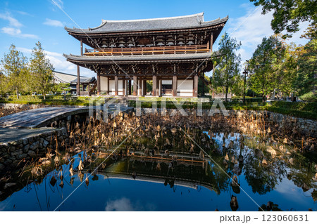 東福寺 三門 京都府京都市東山区 東福寺 三門 京都府京都市東山区 123060631