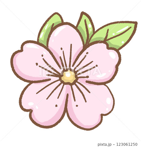Hand drawn illustration cherry blossoms Sakura pastel color isolated on transparent background,  nursery decorations, spring 123061250