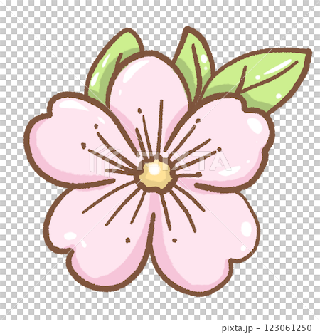 Hand drawn illustration cherry blossoms Sakura pastel color isolated on transparent background,  nursery decorations, spring 123061250