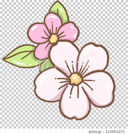 Hand drawn illustration cherry blossoms Sakura pastel color isolated on transparent background, nursery decorations, spring Hand drawn illustration cherry blossoms Sakura pastel color isolated on transparent background, nursery decorations, spring 123061251