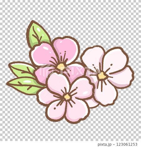 Hand drawn illustration cherry blossoms Sakura pastel color isolated on transparent background, nursery decorations, spring Hand drawn illustration cherry blossoms Sakura pastel color isolated on transparent background, nursery decorations, spring 123061253