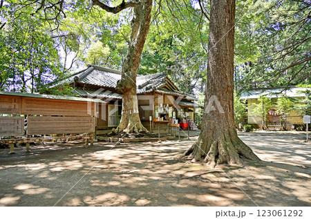 見沼田圃・氷川女体神社 社務所 さいたま市緑区 見沼田圃・氷川女体神社 社務所 さいたま市緑区 123061292
