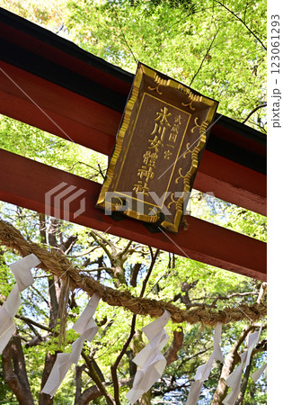見沼田圃・氷川女体神社 鳥居 さいたま市緑区 見沼田圃・氷川女体神社 鳥居 さいたま市緑区 123061293