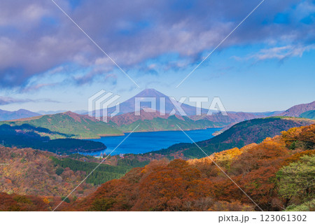 【神奈川県】箱根大観山から望む富士山　秋・早朝 123061302