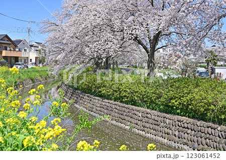 見沼田圃・見沼代用水西縁　さいたま市緑区 123061452