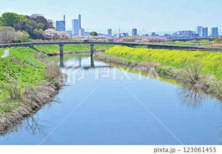 見沼田圃・芝川の流れ さいたま市緑区 見沼田圃・芝川の流れ さいたま市緑区 123061455