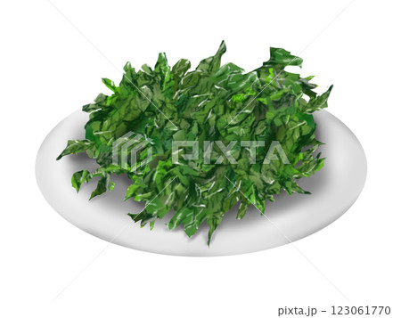 あおさの手描きイラスト 123061770