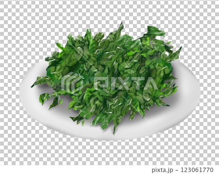 あおさの手描きイラスト 123061770