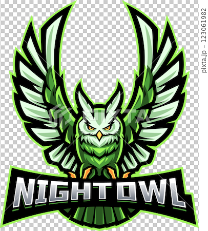 Night owl sport mascot Night owl sport mascot 123061982