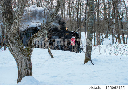 蝶の森、雑木林を抜ける冬の湿原号 蝶の森、雑木林を抜ける冬の湿原号 123062155