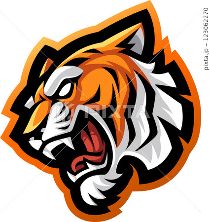 Tiger head mascot Tiger head mascot 123062270