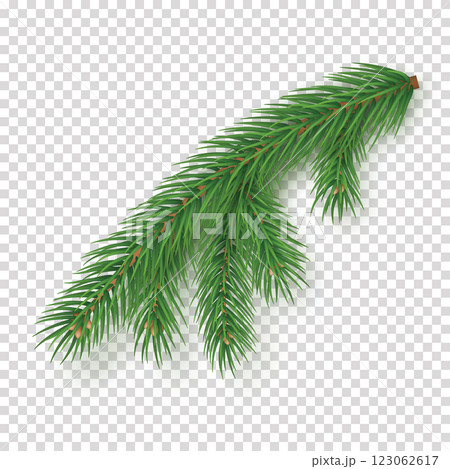 Realistic branch of christmas tree Realistic branch of christmas tree 123062617