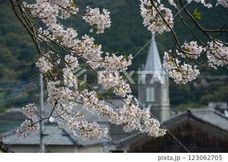 満開の桜とカトリック教会 123062705