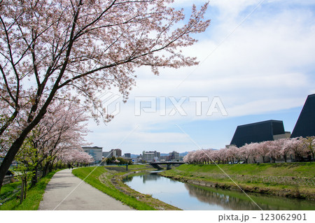 満開の桜づつみ回廊 123062901