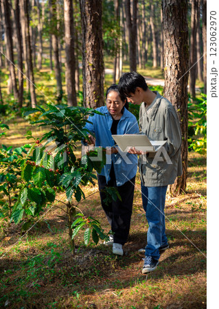 Harvest coffee bean ripe Red berries typing laptop computer check quality control plant coffee tree. Smart farmer using laptop in green coffee farm sustainable quality control agriculture technology 123062970