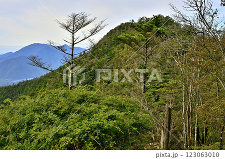 御坂山地の吉沢山より毛無山、雨ヶ岳、竜ヶ岳を望む 123063010