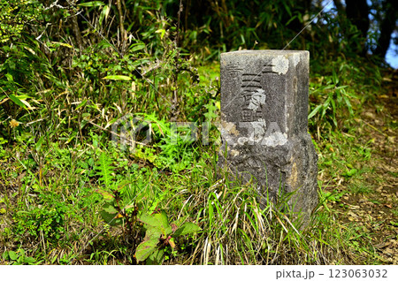 御坂山地の王岳山頂 二等三角点(王岳) 御坂山地の王岳山頂 二等三角点(王岳) 123063032
