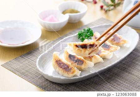 焼き餃子 焼き餃子 123063088