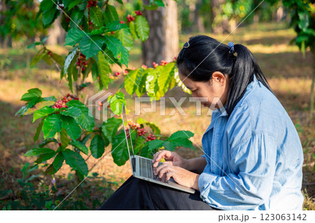 Harvest coffee bean ripe Red berries typing laptop computer check quality control plant coffee tree. Smart farmer using laptop in green coffee farm sustainable quality control agriculture technology 123063142