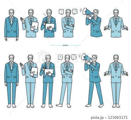 シニアのビジネスパーソン 123063171