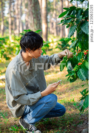 Harvest coffee bean ripe Red berries typing laptop computer check quality control plant coffee tree. Smart farmer using laptop in green coffee farm sustainable quality control agriculture technology Harvest coffee bean ripe Red berries typing laptop computer check quality control plant coffee tree. Smart farmer using laptop in green coffee farm sustainable quality control agriculture technology 123063195