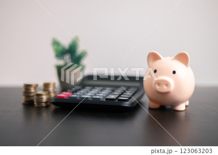 Finance bank tax expense accounting budget money businessman hand use calculator Financial calculate accountant close up calculator with graph chart write office desk Business expense analysis saving Finance bank tax expense accounting budget money businessman hand use calculator Financial calculate accountant close up calculator with graph chart write office desk Business expense analysis saving 123063203