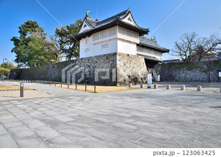 佐賀県　佐賀城　鯱の門 123063425