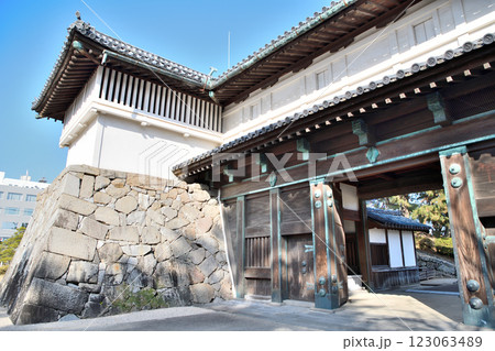 佐賀県　佐賀城　鯱の門 123063489