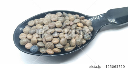 black computer mouse isolated on the white background 123063720