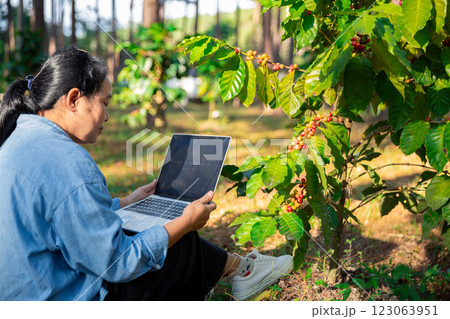Harvest coffee bean ripe Red berries typing laptop computer check quality control plant coffee tree. Smart farmer using laptop in green coffee farm sustainable quality control agriculture technology Harvest coffee bean ripe Red berries typing laptop computer check quality control plant coffee tree. Smart farmer using laptop in green coffee farm sustainable quality control agriculture technology 123063951