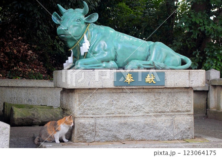 北九州市黒崎の春日神社(黒田神社) 【なで牛と猫】 123064175