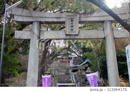 北九州市黒崎の春日神社(黒田神社) 【鳥居】 123064178